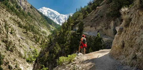 Fairy Meadows trekking trail with Nanga Parbat peak visible under a starlit night view