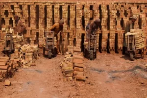 Brick kiln worker pushing wheelbarrow of bricks in Sheikhupura, Punjab, Pakistan