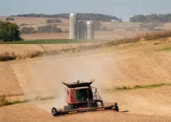 China Cuts Tariffs on US Farm Goods but Leaves Soybeans Out