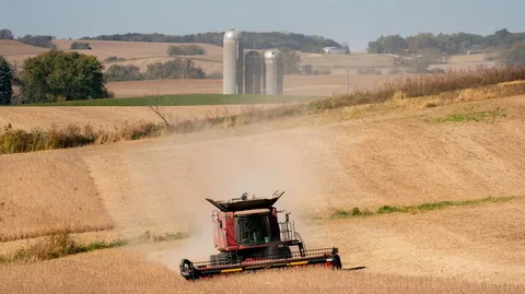 Cargo ship loading US corn and wheat at a port as China tariffs on US farm goods are cut but soybeans are excluded