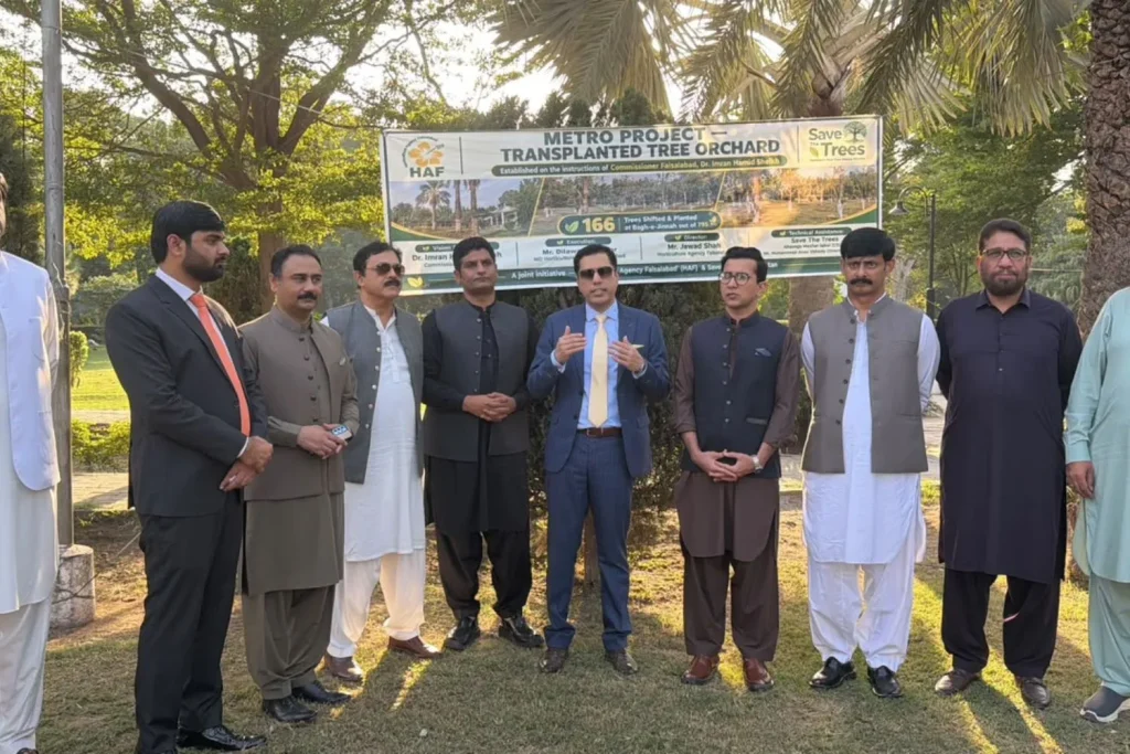 Mature transplanted trees at the Tree Transplantation Orchard in Bagh-e-Jinnah, Faisalabad, Punjab, Pakistan.
