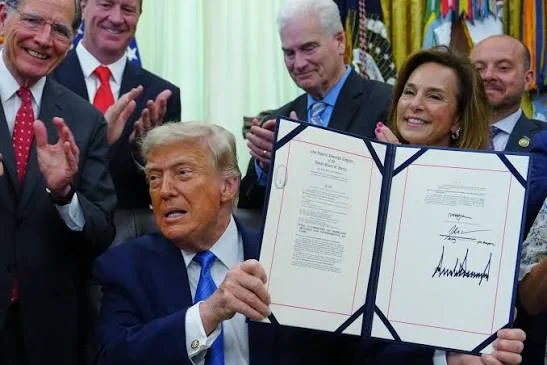 US Immigration Crisis Intensifies Ahead of 2026 Midterm Elections
